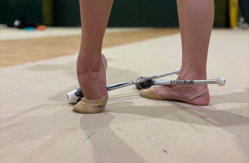 Ginnastica ritmica